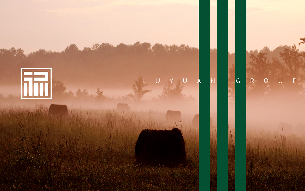 農(nóng)業(yè)集團(tuán)形象設(shè)計(jì)，VI設(shè)計(jì)，深圳標(biāo)志設(shè)計(jì)公司